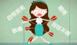 不干了 体育圈是干净的吗,不干了，究竟谁在守护那份纯净？