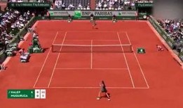 体育圈人,激情燃烧的岁月